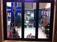 AMBULATORIO-POLIGNANO-VETERINARY-CARE-2.jpg