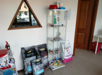 bautiful-dog-toelettatura-ad-arezzo_3.jpeg
