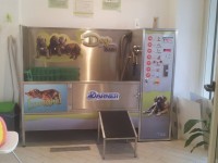 4ZAMPE-Toelettatura-Professionale-e-Self-Service-Roma-1.jpg