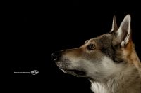 EB-Photo_Emanuele_Barbieri_Photographer_1.jpg