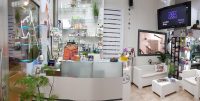 dog-in-pet-center-toelettatura-cagliari-3.jpg