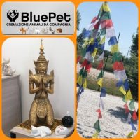 blue-pet-cremazione-animali-pisa-1.jpg
