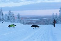 axaeco-prodotti-per-cani-attivi-e-da-slitta-3.jpg
