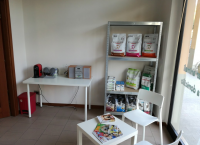 bautiful-dog-toelettatura-ad-arezzo_4.jpeg