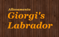 logo giorgi's.png