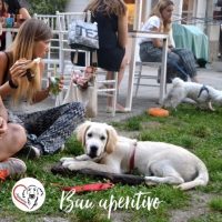 bauaperitivo-mylandog.jpg