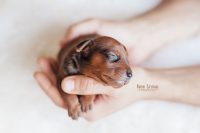 Baba_Studio_Fotografia_1.jpg