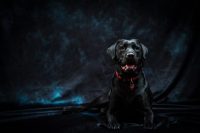 andrea-gargalli-photographer-3.jpg