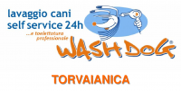 wash dog presentazione TOR.png