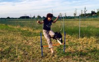 pensione-per-cani-giardino-di ecuba-3.jpg