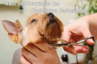 FOTO 2 TV.jpg
