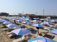 ISLAMORADA-Dog Beach-3.JPG