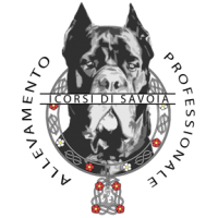 i-corsi-di-savoia-allevamento-professionale-cane-corso.png