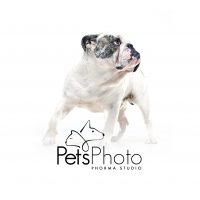 PetsPhoto_Roma_4.jpg