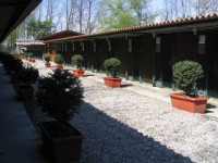 la contea 4.jpg