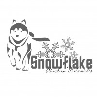 Snowflake Malamutes