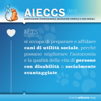 AIECCS_1.png