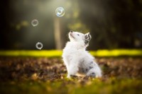 Cecilia-Zuccherato-Photography-1.jpg