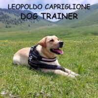 leopoldo-capriglione-dog-trainer.jpg