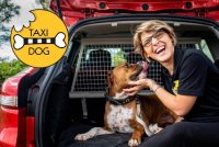 taxidog-1.jpg
