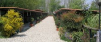 la contea 1.jpg