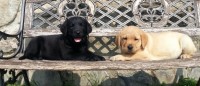 20130615_102708_1024x7681.jpg