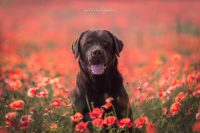 Mattia_Gorno_Photo_3.jpg