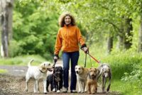 Sara_Morini_dogsitter_Città_di_Castello_1.jpg