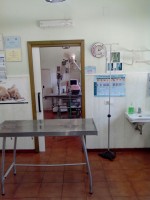 veterinary-day-hospital-ambulatorio-veterinario-catania-auteri-dott-davide2.jpg
