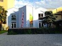 Clinica_Veterinaria_My_Vets_1.jpg
