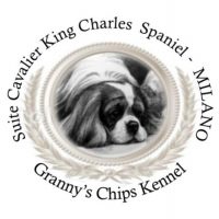 Granny's_Chips_Kennel_Allevamento_Cavalier_King_Charles_Spaniel.jpg