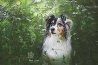 Baba_Studio_Fotografia_4.jpg