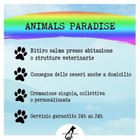 animalsparadise-cremazione-animali-piacenza-1.jpg