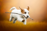Cecilia-Zuccherato-Photography-2.jpg