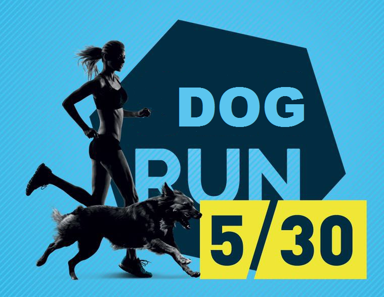 dog run logo