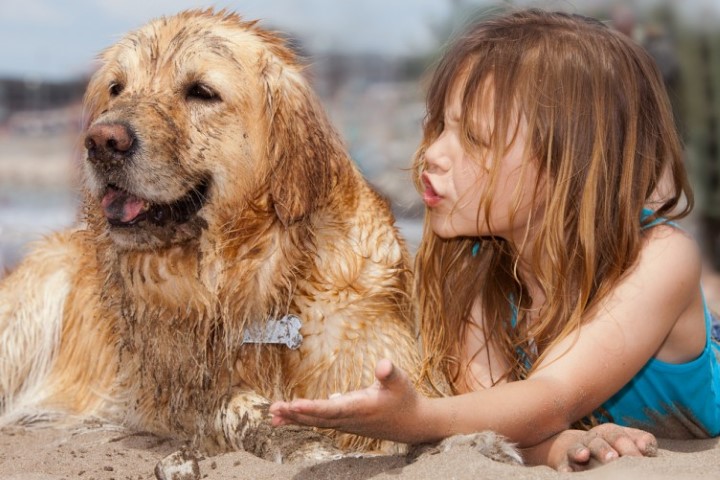 parla con il cane